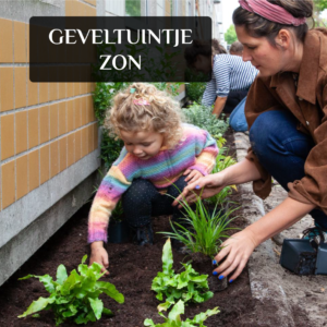 geveltuintje zon cruydthoeck steenbreek
